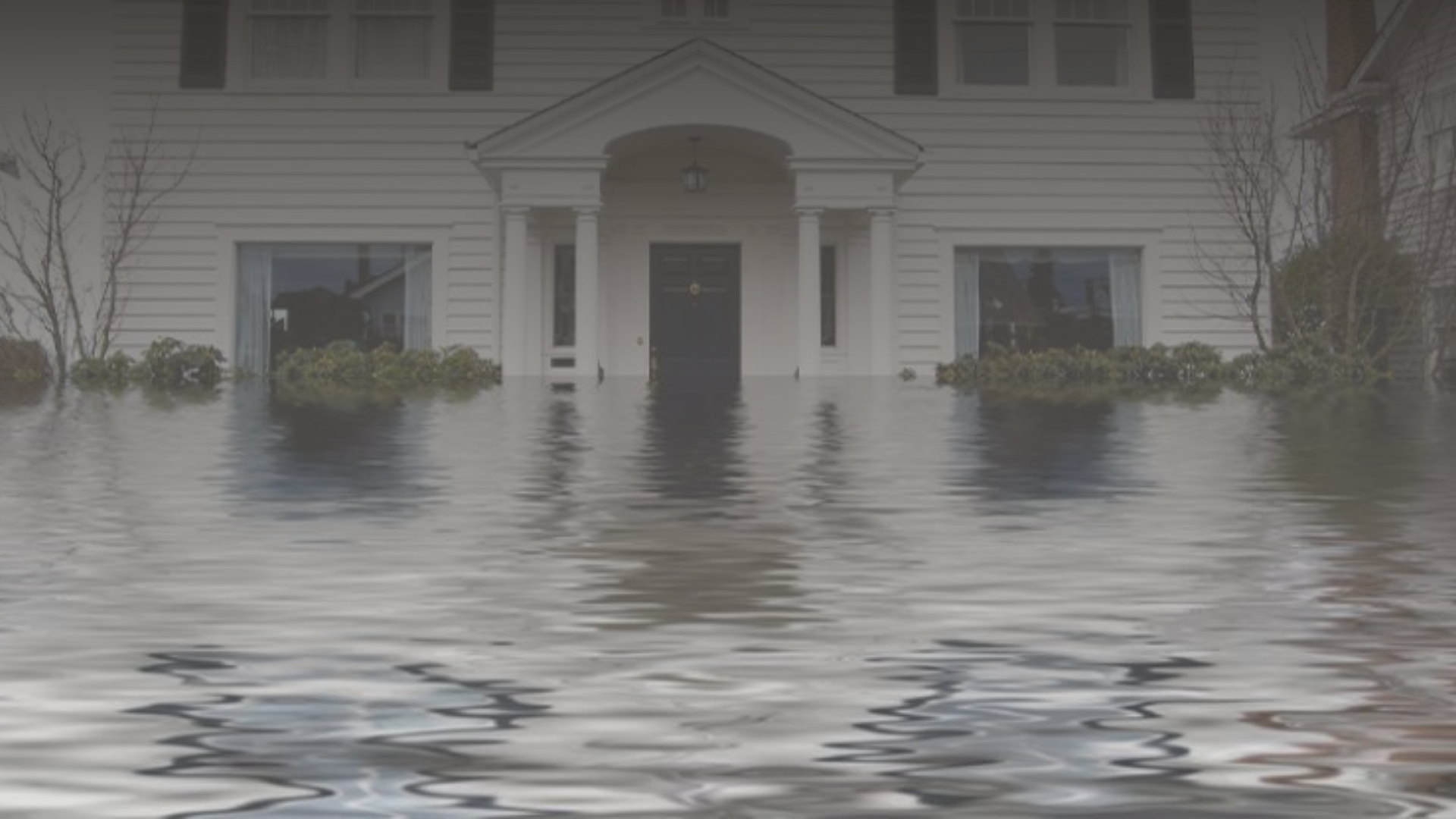 Dalmation Cleaning and Restoration Flood damage Services St Louis