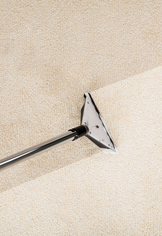 St Louis Carpet Cleaning Dalmation Restoration Cleaning Services
