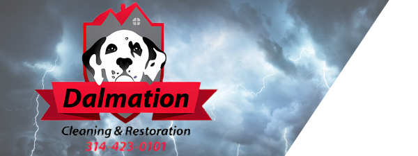 Dalmation Cleaning & Restoration - St. Louis' Trusted Restoration & Cleaning Experts Top Banner Image