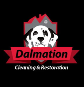 Dalamtion Cleaning and Restoration of St Louis mo logo