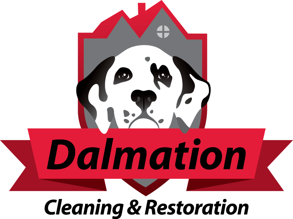 Dalmation Cleaning and Restoration of St Louis Logo